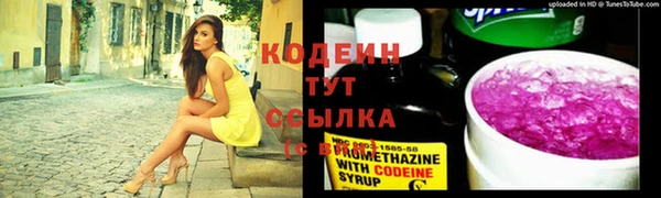 хмурый Надым